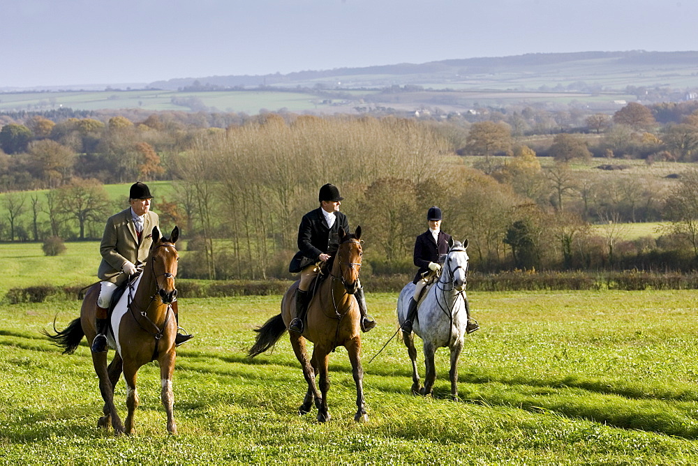 Members of Heythrop Hunt ride across field at Westcote, The Cotswolds, Oxfordshire, United Kingdom