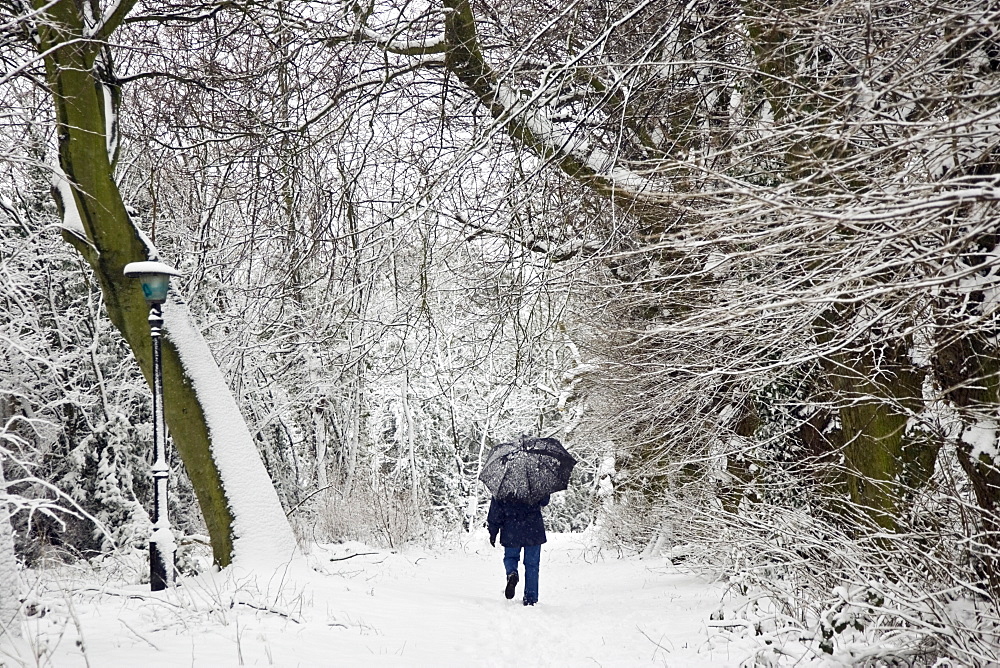 Walker strolls with umbrella across snow-covered Hampstead Heath, London, United Kingdom