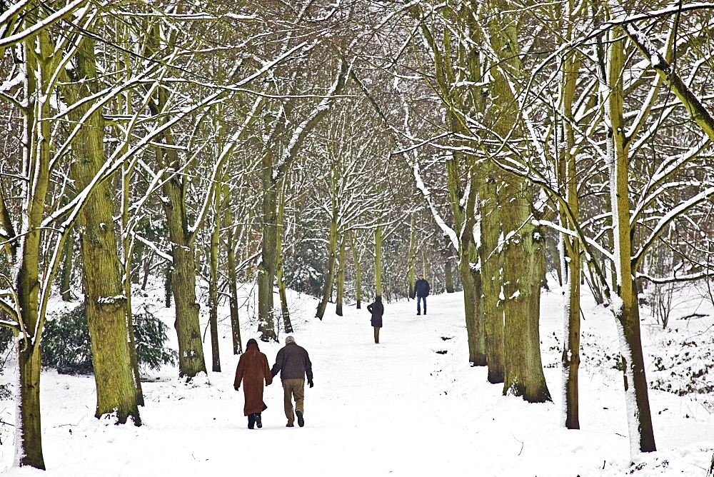 Couple walk hand in hand  across snow-covered Hampstead Heath, North London, United Kingdom