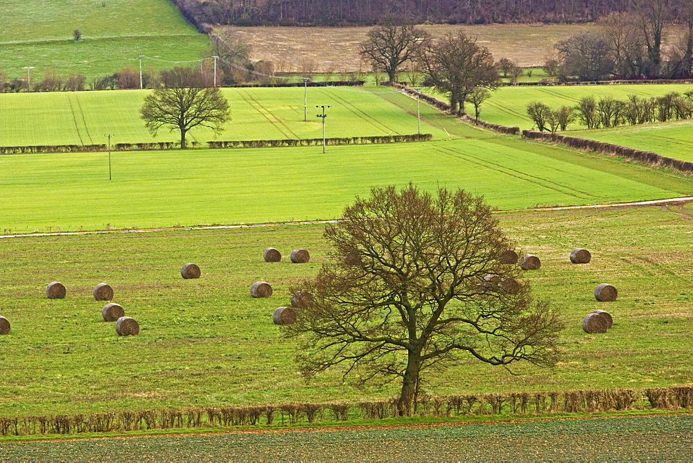 Oxfordshire countryside, England, United Kingdom