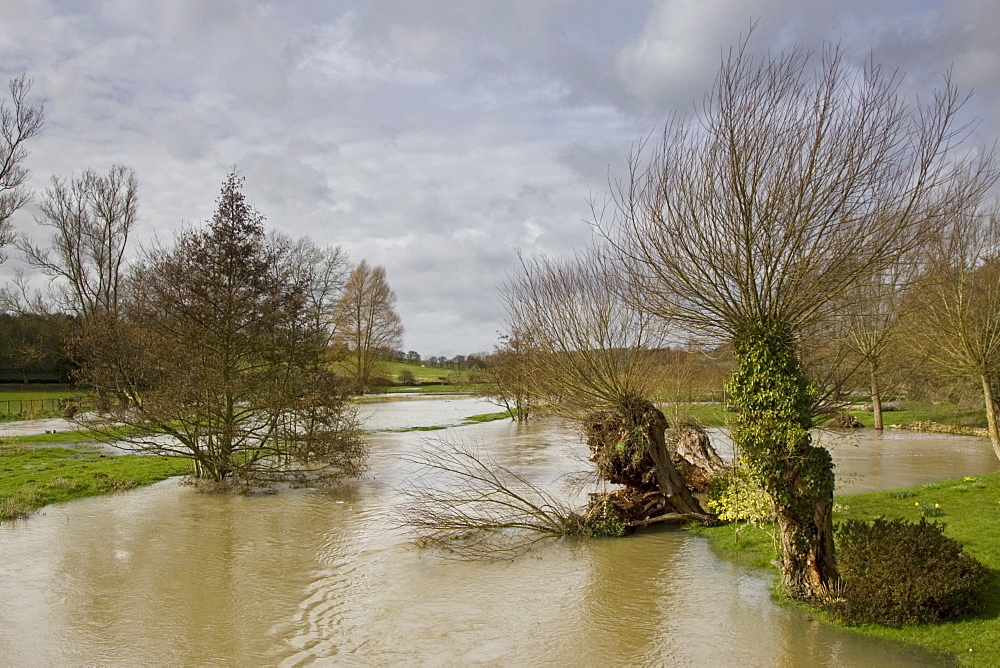 Flooded field in Oxfordshire, The Cotswolds, United Kingdom