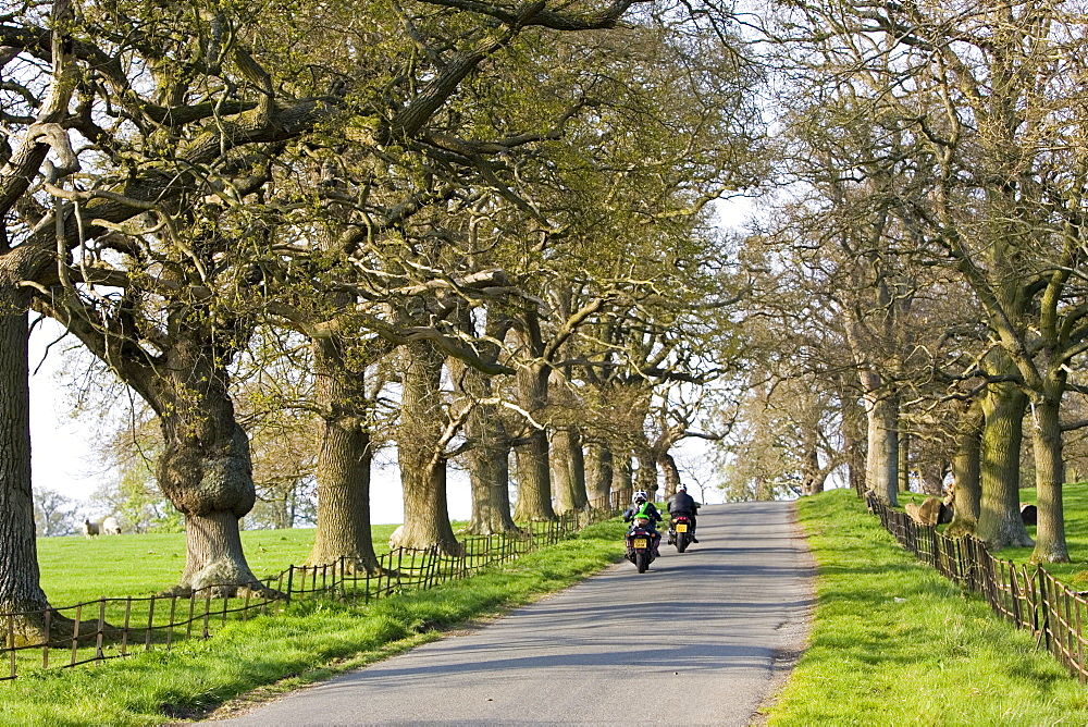 Motorcyclists on tree-lined country road, Stanway, Gloucestershire, United Kingdom