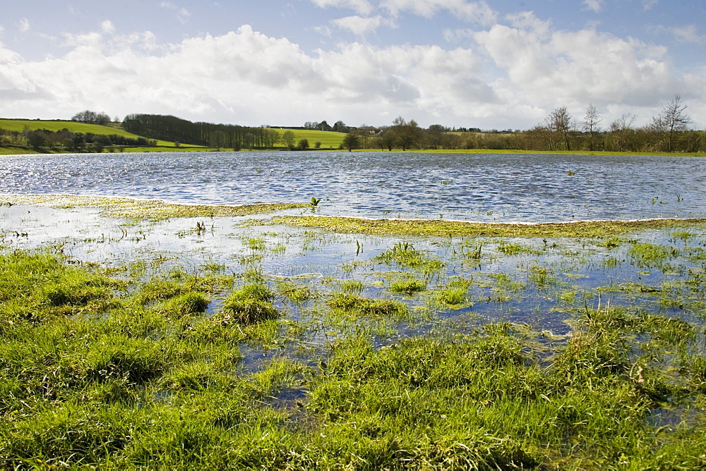 Flooded watermeadows in flood plain, near Burford, Oxfordshire, The Cotwolds, England,  United Kingdom