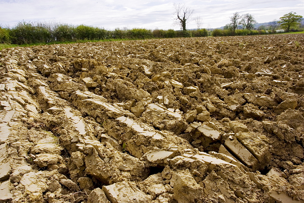 Earth of ploughed field, Wyck Rissington, Gloucestershire, United Kingdom