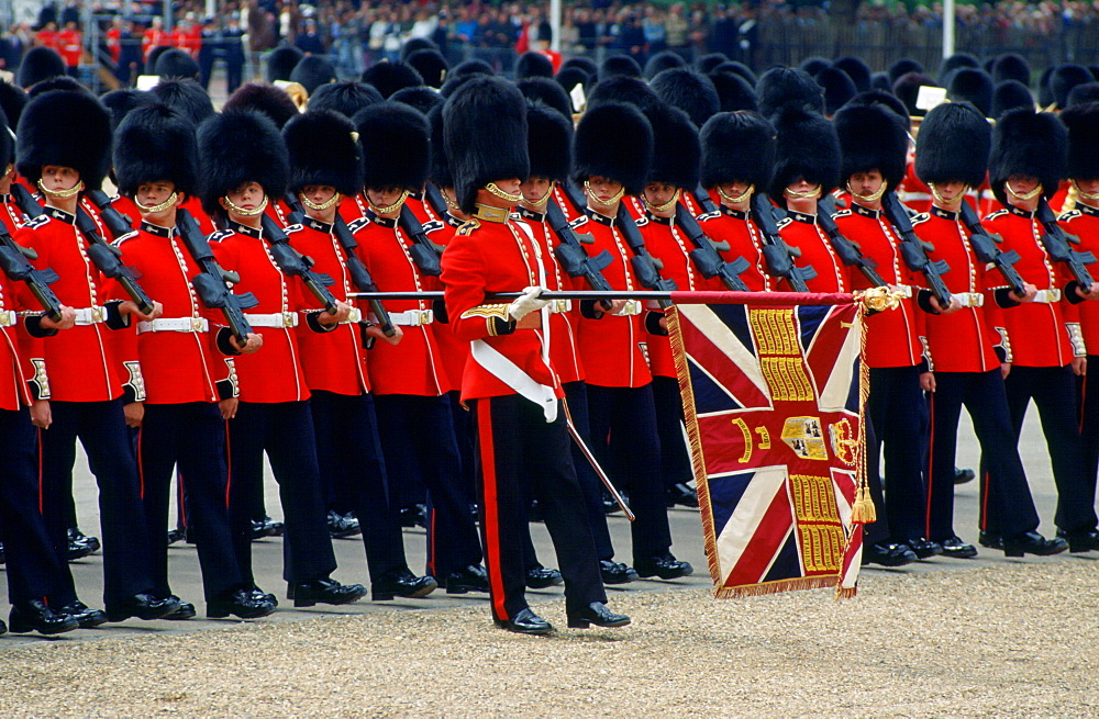 Colour bearer leads soldiers at Trooping the Colour, London, United Kingdom