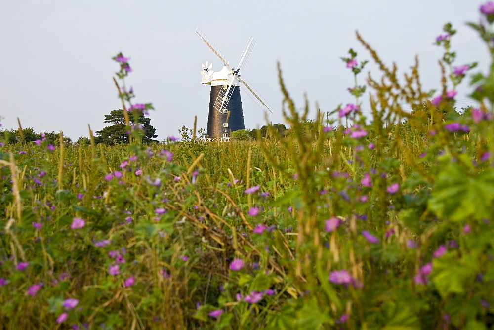 National Trust Tower Windmill near Wells-Next-the-Sea, Norfolk, United Kingdom