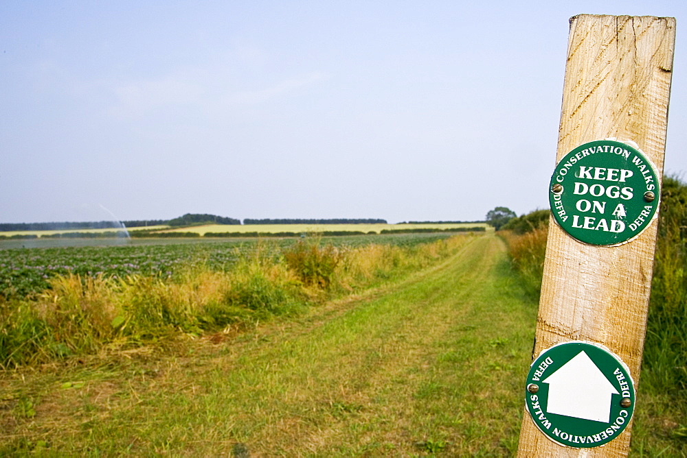 Keep Dogs On A Lead signpost by a DEFRA Conservation Walk near Holkham, Norfolk, UK