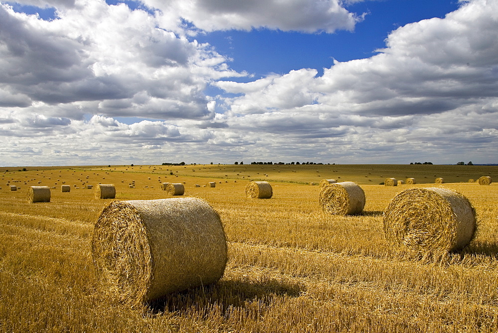 Straw bales, Swinbrook, Cotswolds, United Kingdom