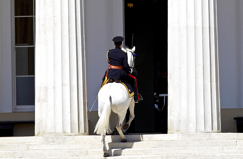 Traditionally the Colonel's horse rides back up the steps and into the Academy after the Passing Out Parade at Sandhurst Royal Military Academy, Surrey.