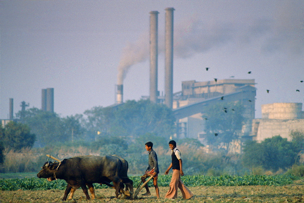 Farmers ploughing field using traditional method next to industrial scene, India.