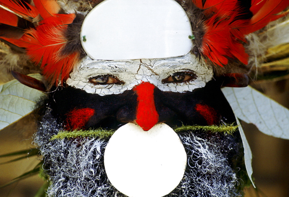 Man at a Sing Sing tribal gathering, Papua New Guinea, South Pacific