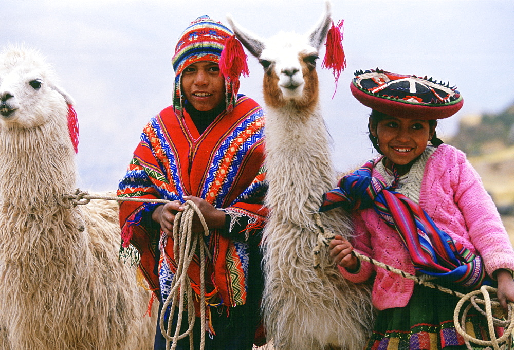 Peruvian children with llamas, Peru, South America