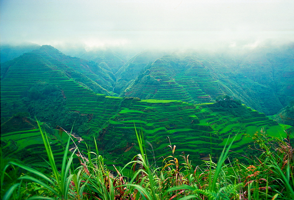 Banalie Rice Terraces, Philippines