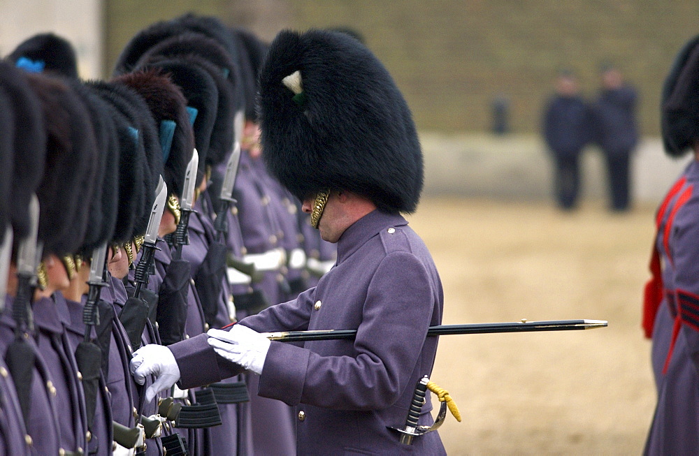 The Household Division Irish Guards on parade under inspection by senior officer in London, UK