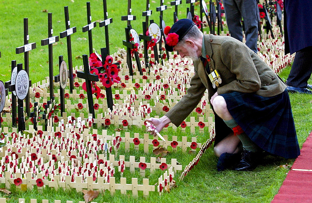 Private Joe Roberts of the Black Watch Regiment visiting the field of remembrance at Westminster Abbey commemorating the war dead