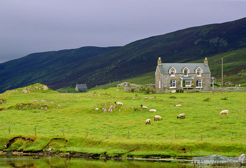 Shetland Isles, Scotland.