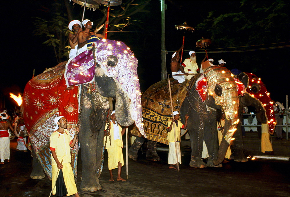 Raja Perahera carnival caravan with elephants in illuminiated masks and silken rugs at a festival, Sri Lanka.