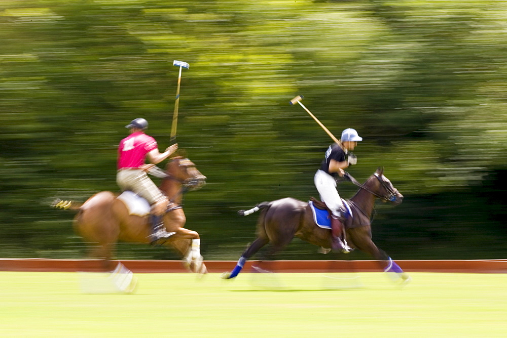 Polo match in Hampshire, England, United Kingdom