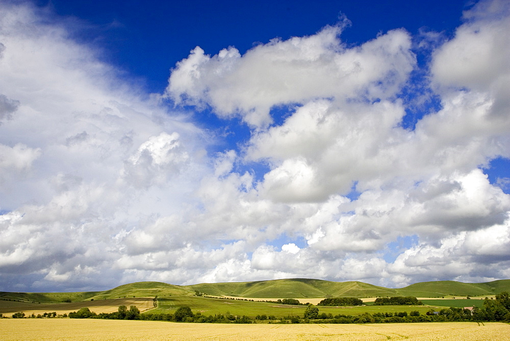 Fields in the Marlborough Downs, Wiltshire, England, United Kingdom