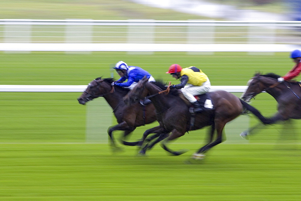 Horseracing at Ascot Racecourse, Berkshire, England, United Kingdom