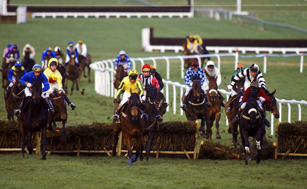 National Hunt Festival horseracing at Cheltenham Races, England, United Kingdom.