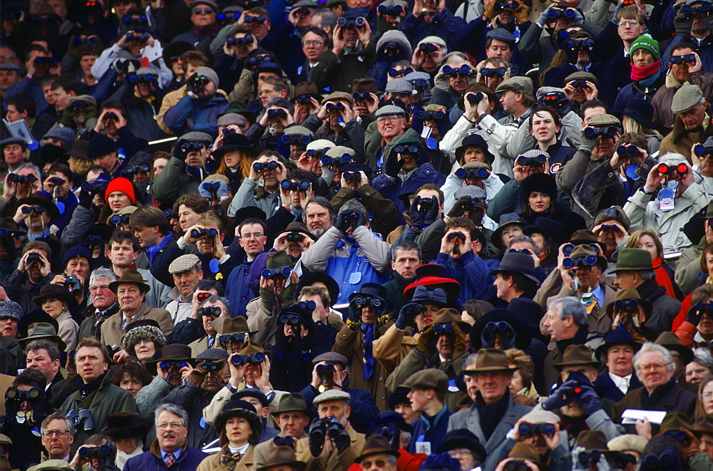 Racegoers watch racing at Cheltenham Races, Gloucestershire, United Kingdom