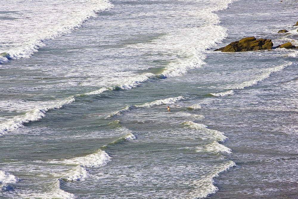 Lone swimmer in the surf at Druidstone Beach near  Broad Haven, Pembrokeshire coast , Wales