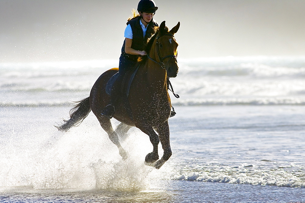 Young woman rides a bay horse on Broad Haven Beach, Pembrokeshire, Wales, United Kingdom