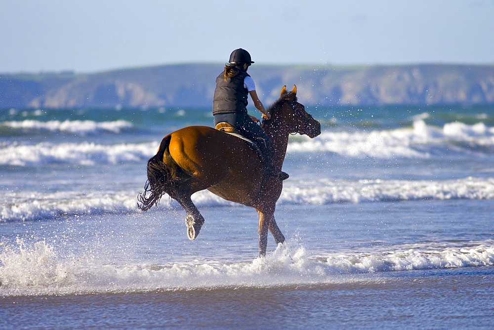 Young woman rides a bay horse on Broad Haven Beach, Pembrokeshire, Wales, United Kingdom