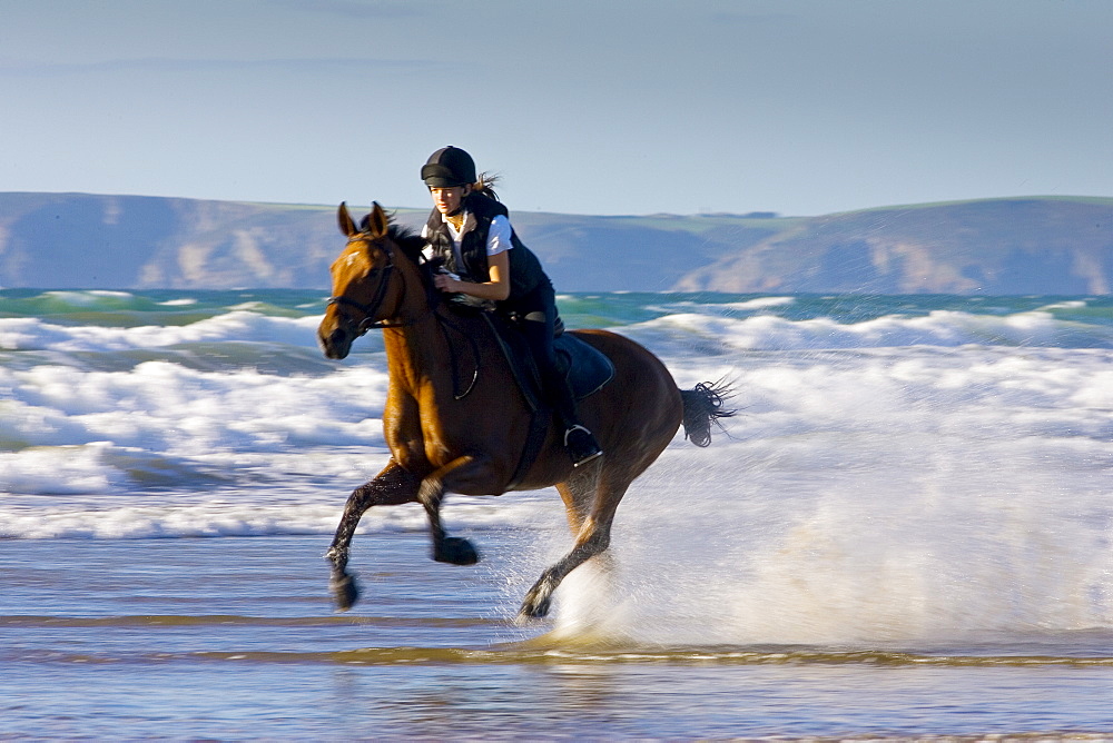 Young woman rides a bay horse on Broad Haven Beach, Pembrokeshire, Wales, United Kingdom