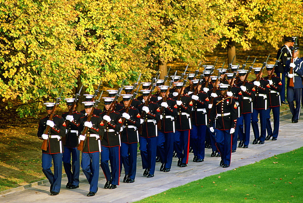 U.S Military at Arlington National Cemetery in Washington.