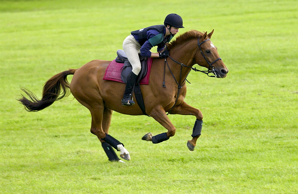 Young male rider competing at cross country horse event Cotswolds, Oxfordshire, UK