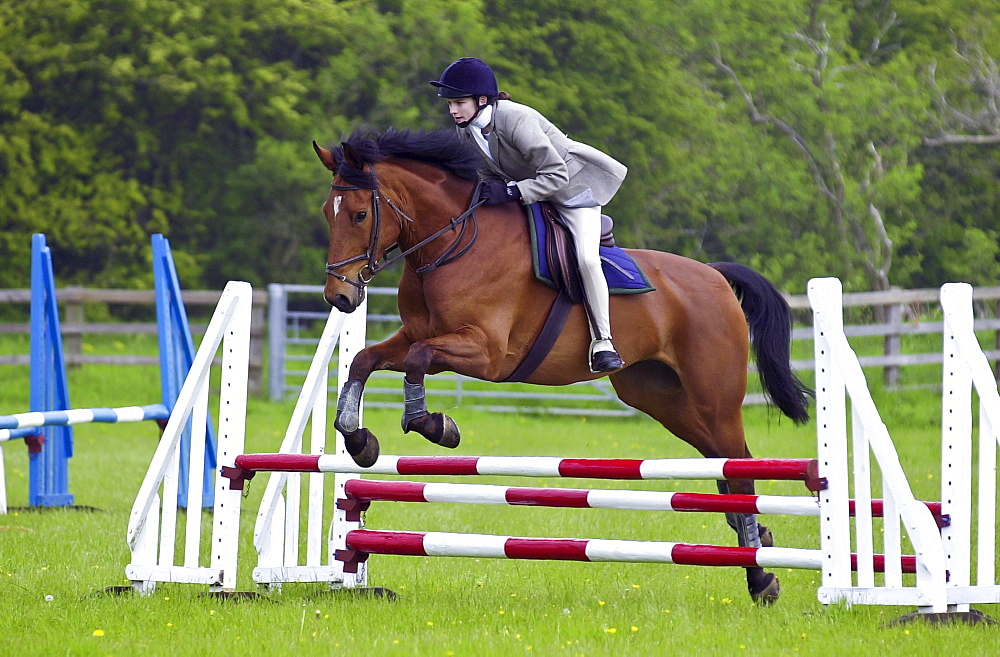 Young female rider competing in showjumping event Cotswolds, Oxfordshire, UK