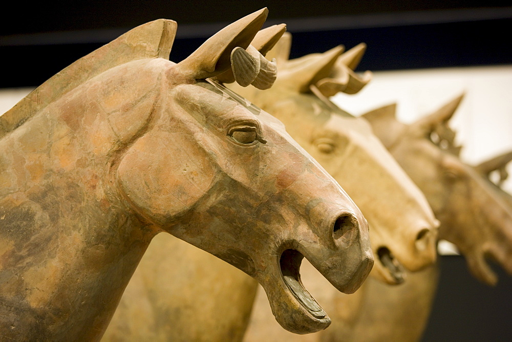 Horses from Terracotta Army on display in the Shaanxi History Museum, Xian, China