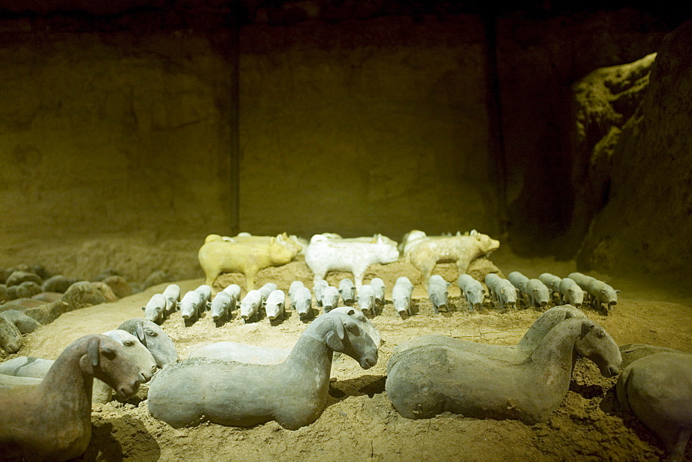 Terracotta animal figures, including piglets and sheep, at the Han Dynasty Tomb of Han Yang Ling, Xian, China