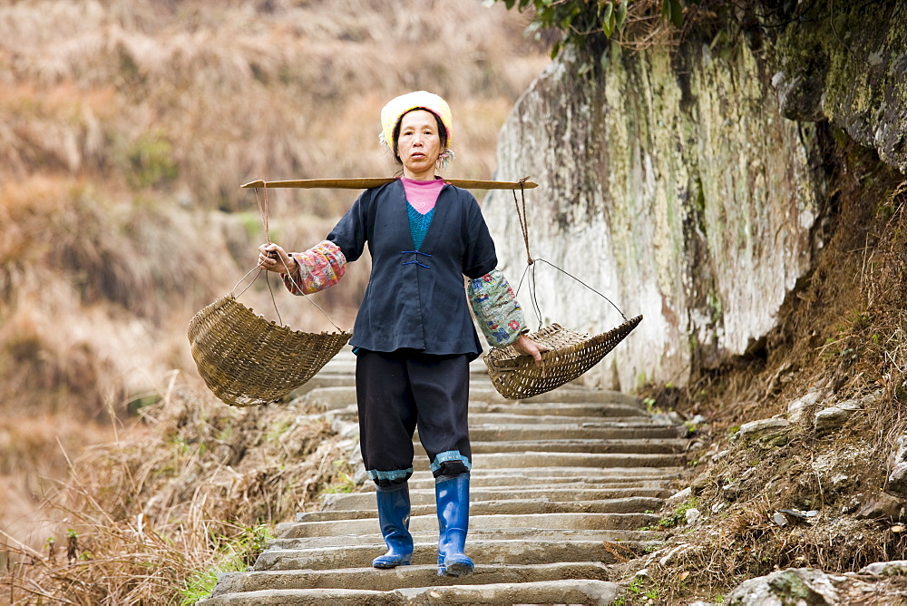 Woman carrying baskets from terrace fields of Longsheng by mountian village of Ping An, Guilin, China