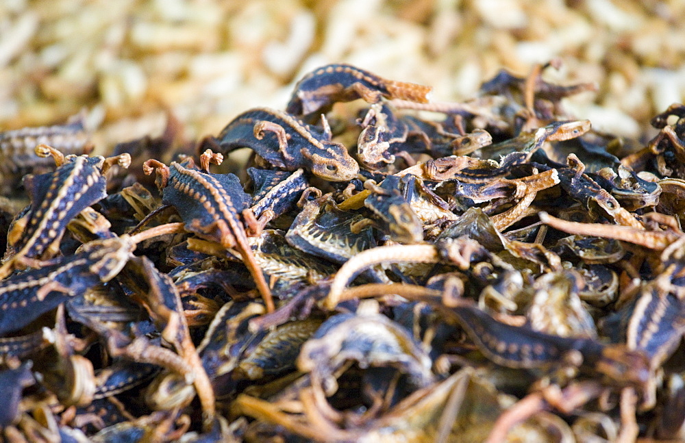 Dried lizards, Fengdu, China