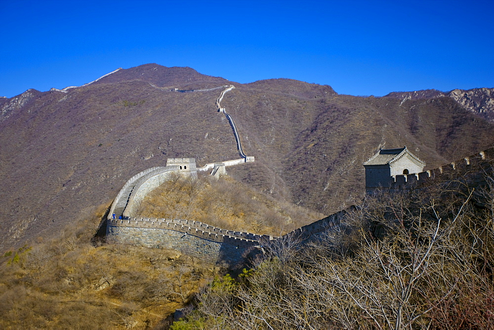 The ancient Great Wall of China snaking through mountains at Mutianyu, north of Beijing (formerly Peking)