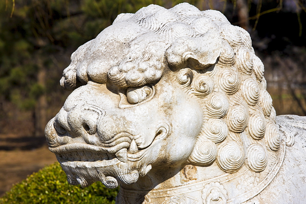 Statue of a lion, Spirit Way, Ming Tombs, Beijing (Peking), China