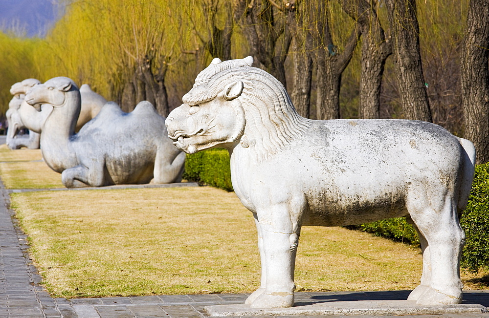 Statue of a standing Xiezi, mythical Chinese Unicorn, on Spirit Way at Ming Tombs site, Beijing, China