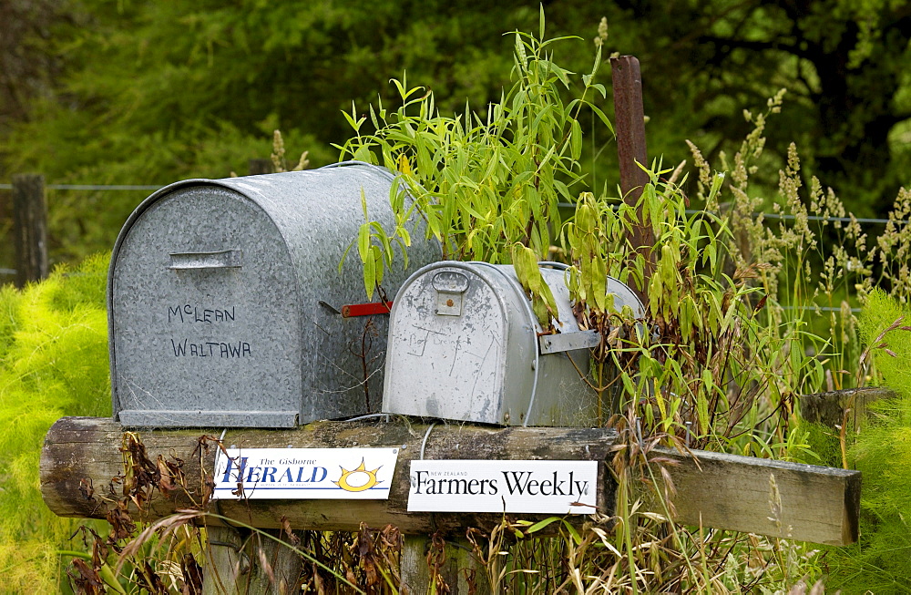 Pair of mailboxes, North Island, New Zealand