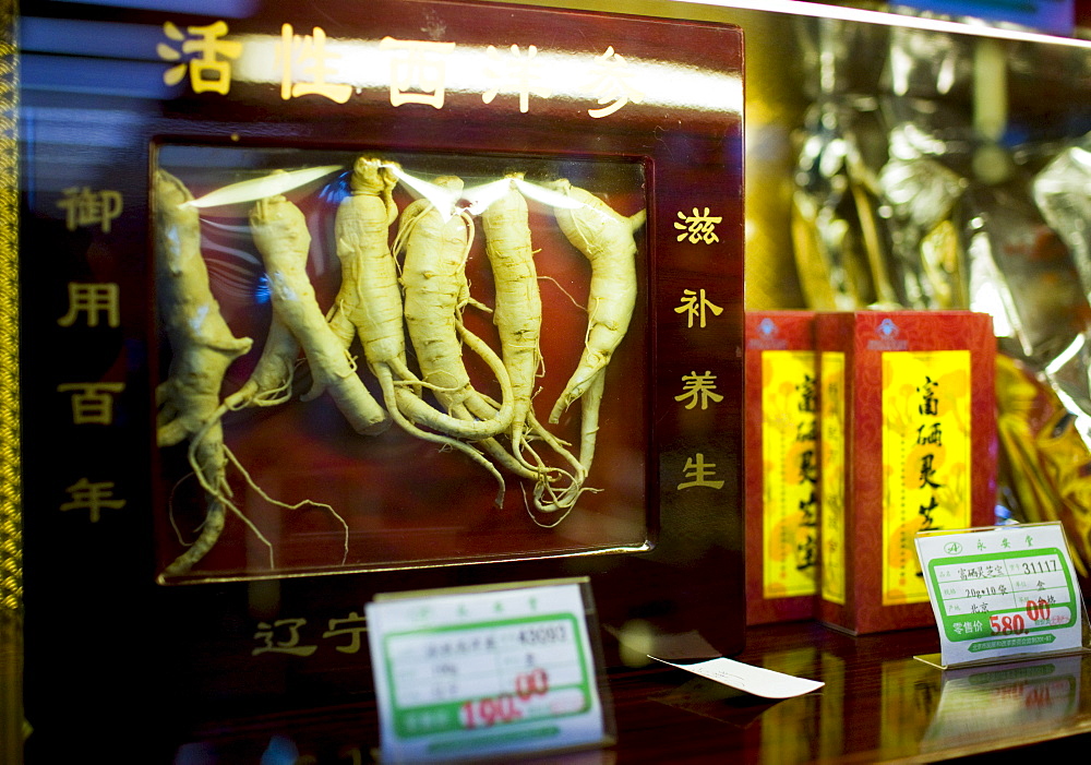 Ginseng roots sold in a traditional Chinese medicine shop in Wangfujing Street, Beijing, China