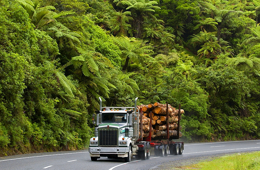 Logging truck, New Zealand