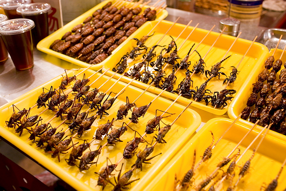 Deep fried grasshoppers, silkworms and scorpions for sale in the Night Market, Wangfujing Street, Beijing, China