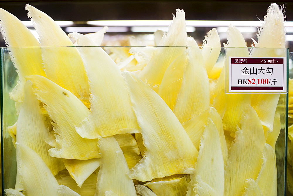 Sharks fins on sale in shop in Wing Lok Street, Sheung Wan, Hong Kong, China