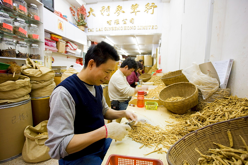 Man prepares Korean Red Ginseng roots for sale at Tai Lai Ginseng Hong shop, Wing Lok Street, Sheung Wan, China