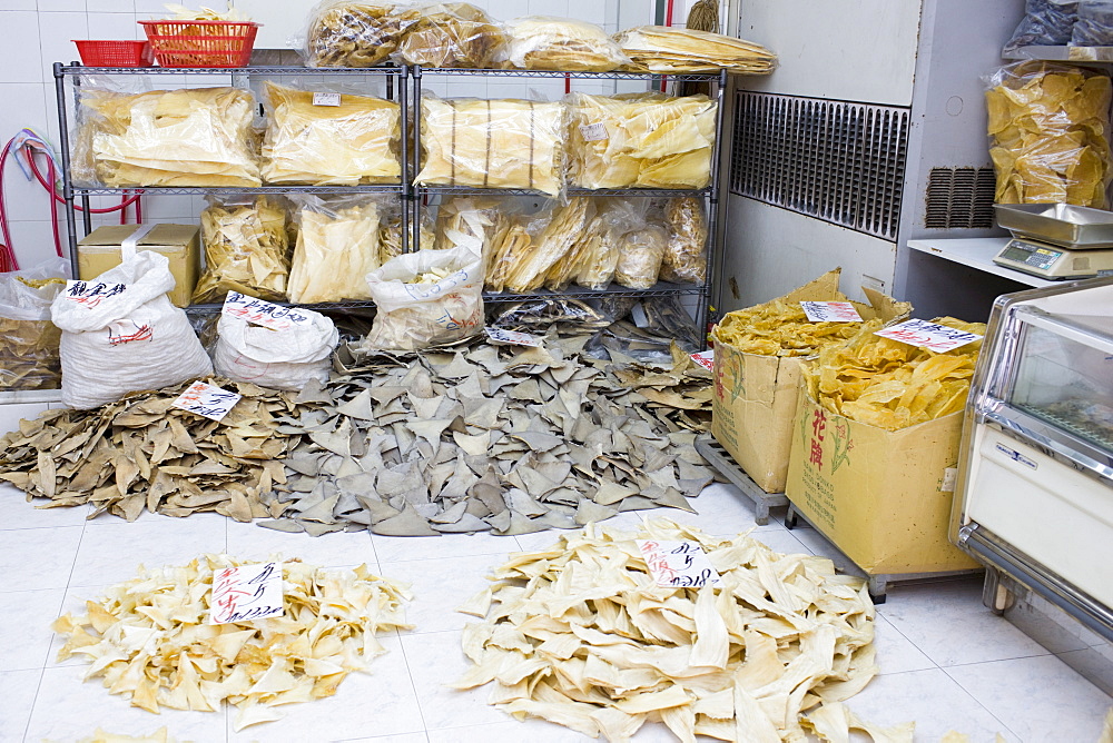 Shark fins on sale in shop in Wing Lok Street, Sheung Wan, Hong Kong, China