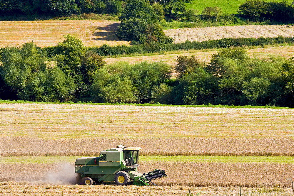 Combine harvester in a wheat field, Herefordshire, England, United Kingdom