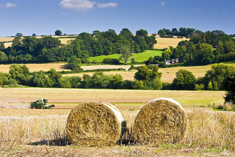 Combine harvester in a wheat field, Herefordshire, England, United Kingdom