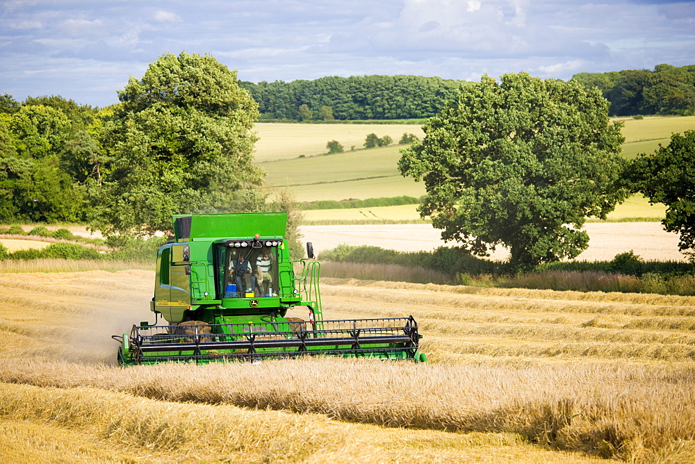 Combine harvester at work in wheat field near Shipton-under-Wychwood